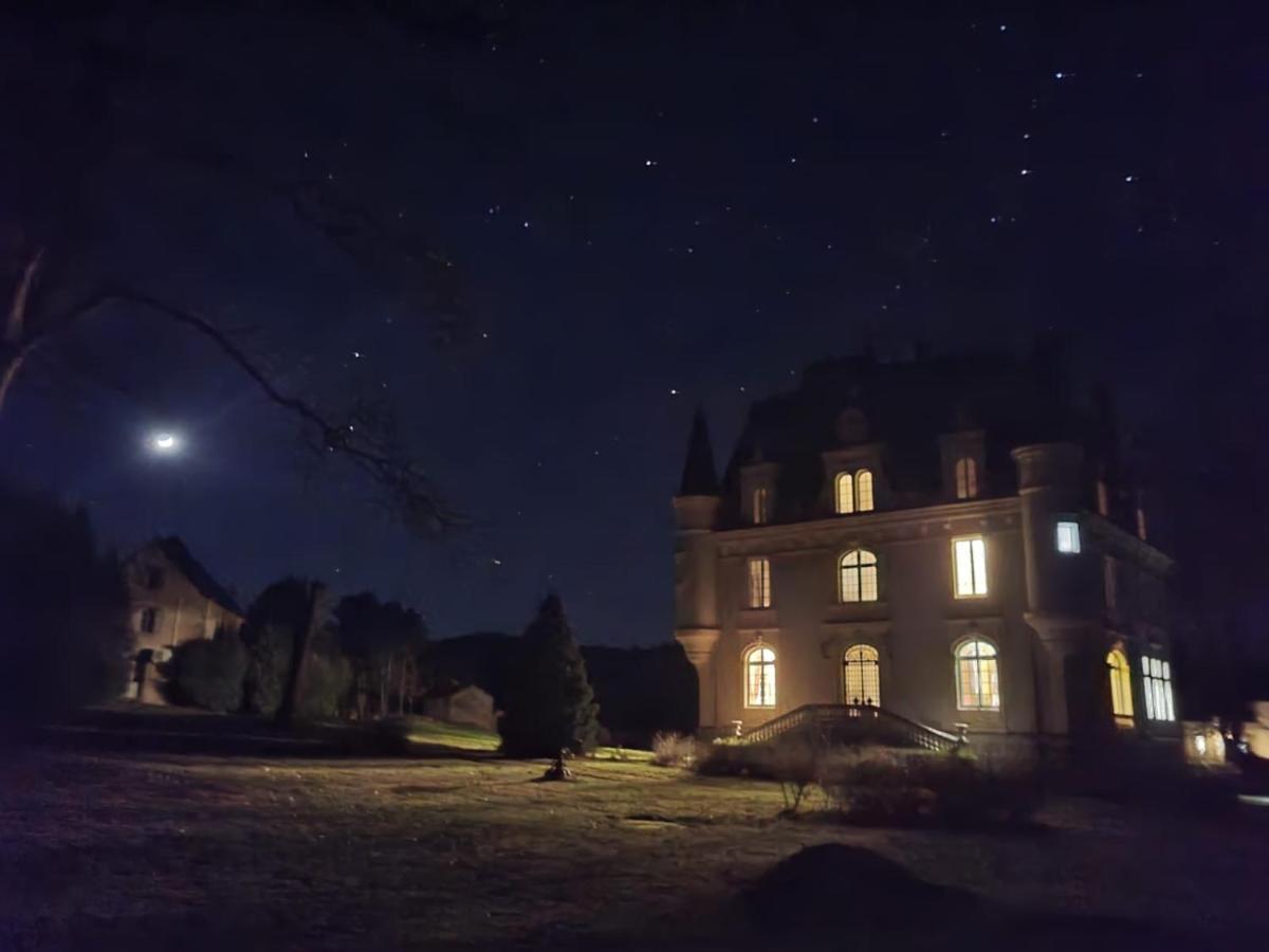 Chateau De Chazelpaud Saint-Bard Exteriör bild